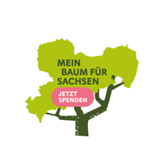 Spende für Stiftung Wald für Sachsen